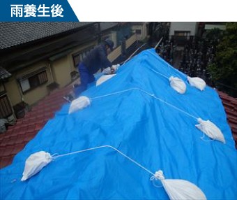崩壊した棟瓦をブルーシートで養生