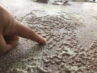 ウレタン下地劣化