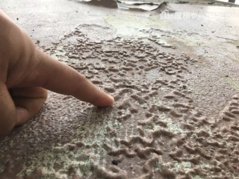 ウレタン下地劣化