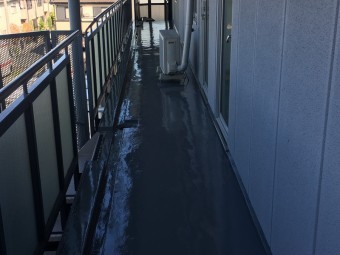 トップコート完成