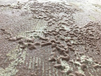 ウレタン下地劣化