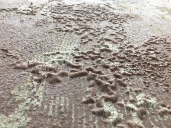 ウレタン下地劣化