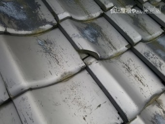 地瓦の割れ
