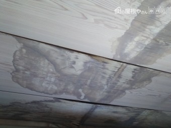 雨漏り箇所調査 天井ヵら雨染み