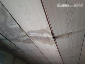 雨漏り箇所調査 天井ヵら雨染み