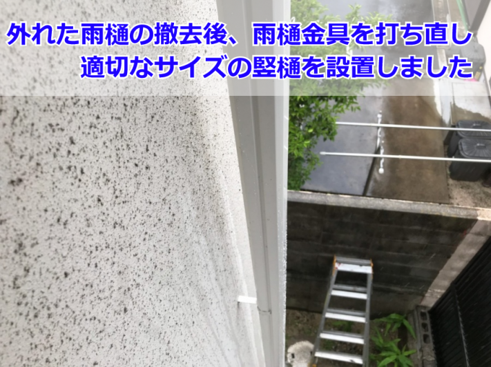新設した竪樋