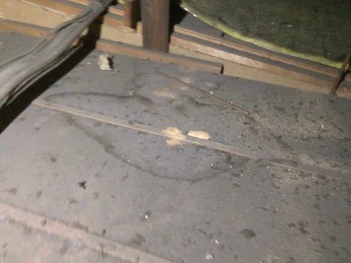 屋根裏調査