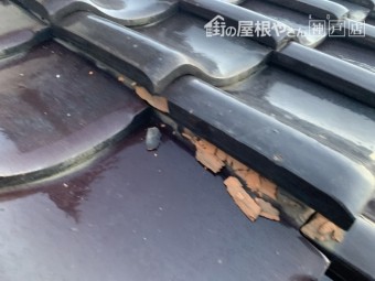 神戸市西区 雨漏り調査 地瓦の凍て割れ