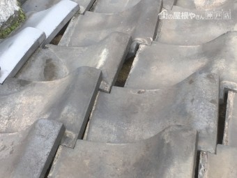 神戸市かわらがズレて下地が見えています。