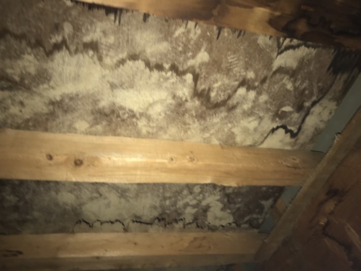 雨漏り箇所、直上の屋根裏