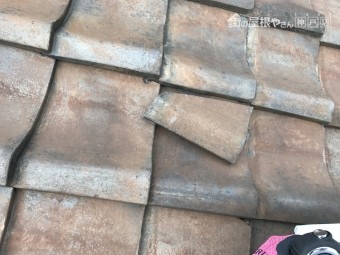 瓦のかけら