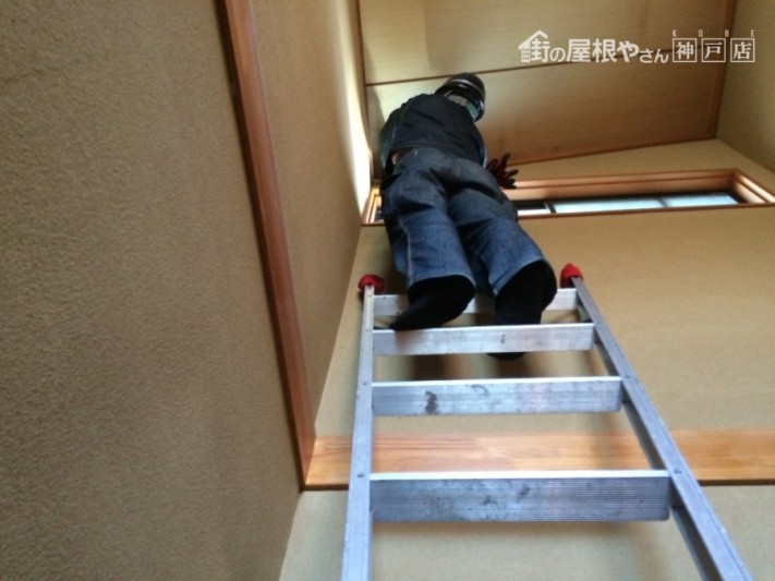 天井の染み点検