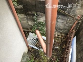 飛散したはいどい