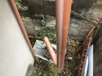 飛散したはいどい