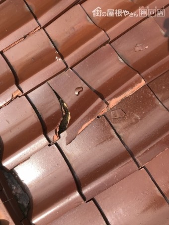 劣化して割れた瓦屋根