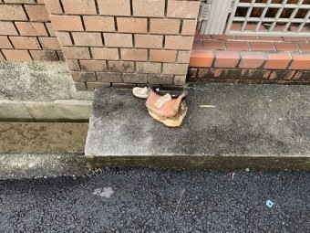 棟瓦の脱落