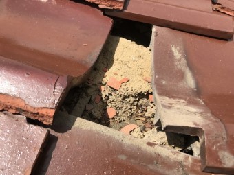 劣化した瓦の下の土