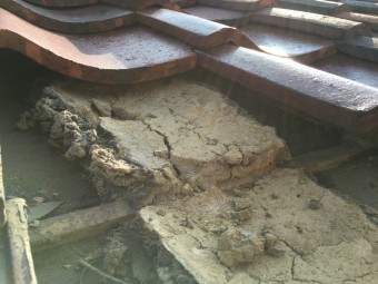 IMG_2320-columns2