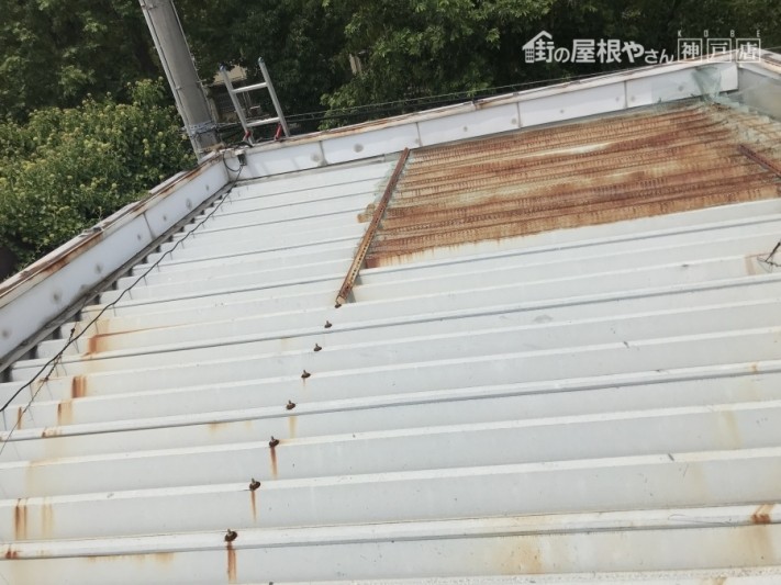 折半屋根に上り調査開始