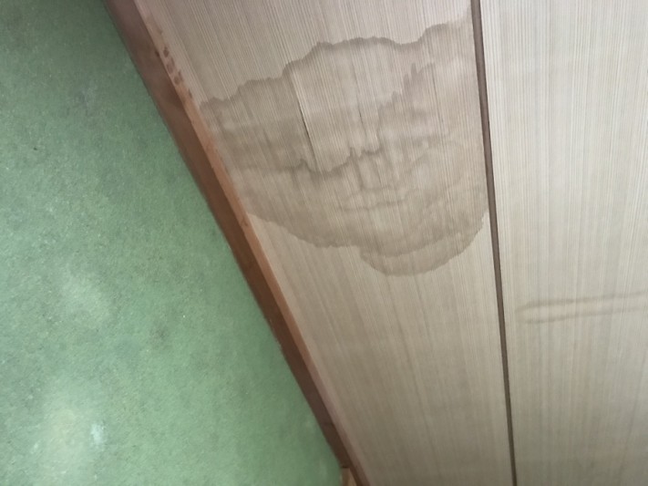 雨染み