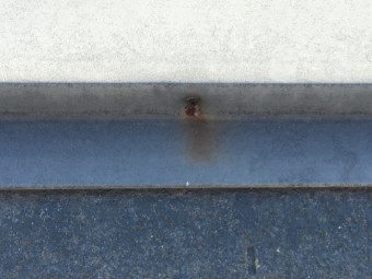 棟板金の釘の浮き