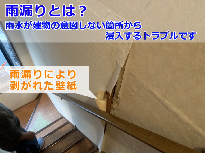 雨漏り点検(剥がれたクロス)