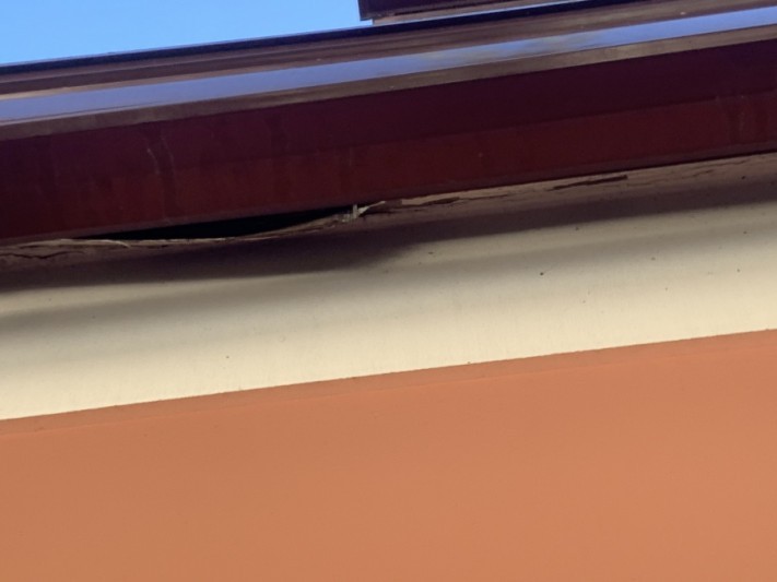 野地板の腐食