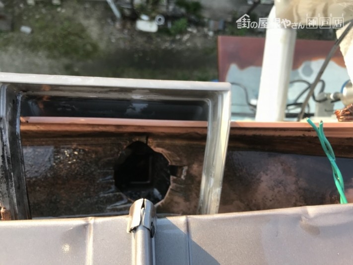雨樋開通