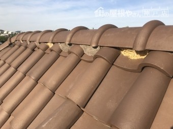 棟下地土が見えている様子