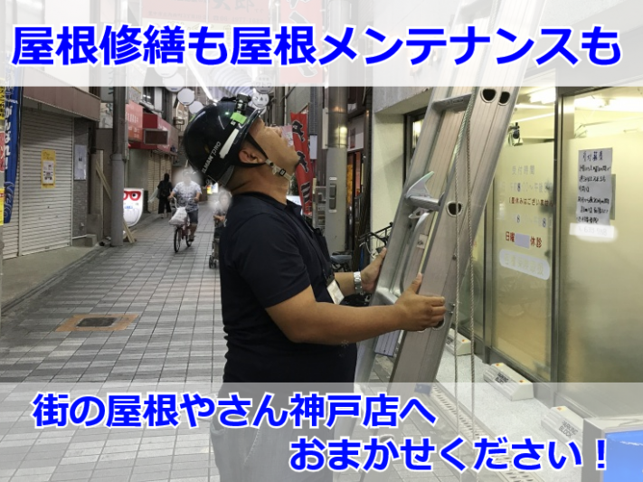 屋根調査中の様子
