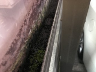 カーポート樋清掃