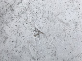 防水層の割れ