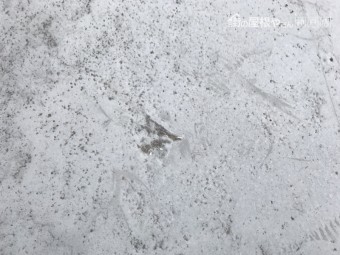 防水層の割れ