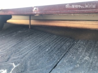 棟板金の捲れ箇所