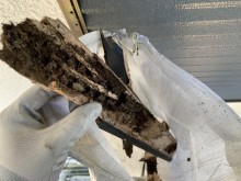 軸組の垂木は雨水によりスカスカに劣化しています。