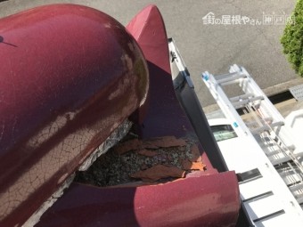 巴瓦