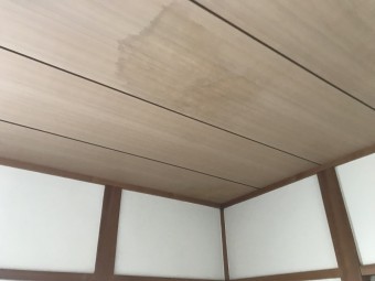 雨漏り