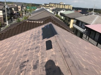 カラーベスト