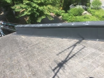 屋根調査