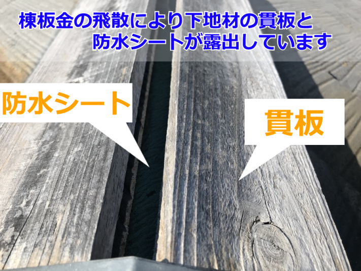 防水シートの点検中