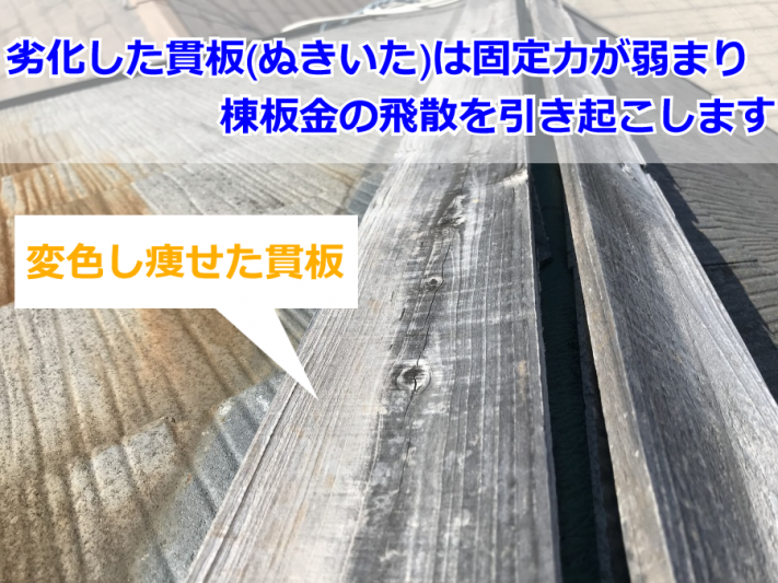棟板金の飛散につながった貫板の劣化状況