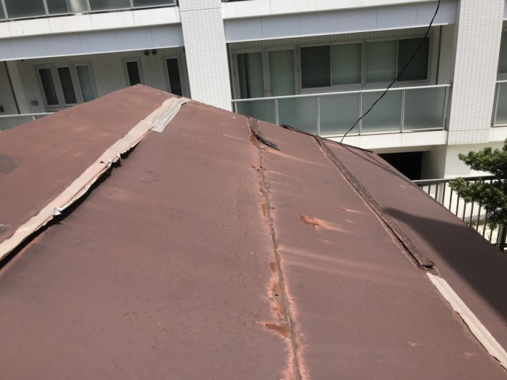 平板板金葺き 雨漏り調査