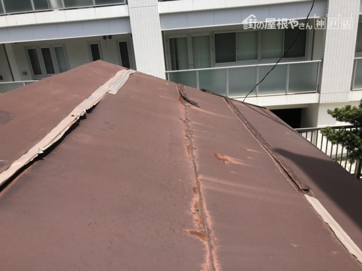 平板板金葺き 雨漏り調査
