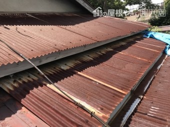 入母屋部分は3段のトタン波板葺きになっています。