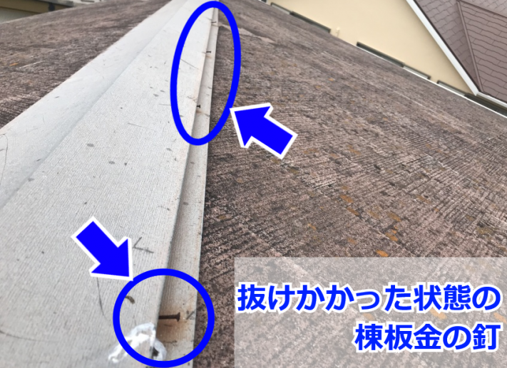 棟板金の釘が腐食して浮いている状態