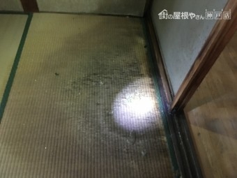 床が雨漏りで崩れてきている様子
