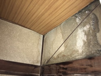 外壁に雨染みが出来ている様子