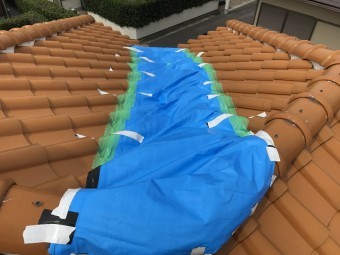 養生完成です!