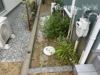 雨樋からあふれた水で池のようになっています。