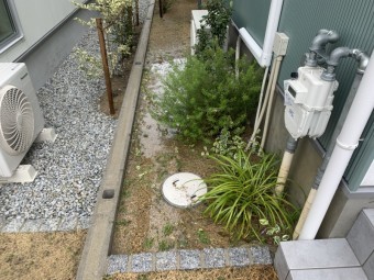 雨樋からあふれた水で池のようになっています。